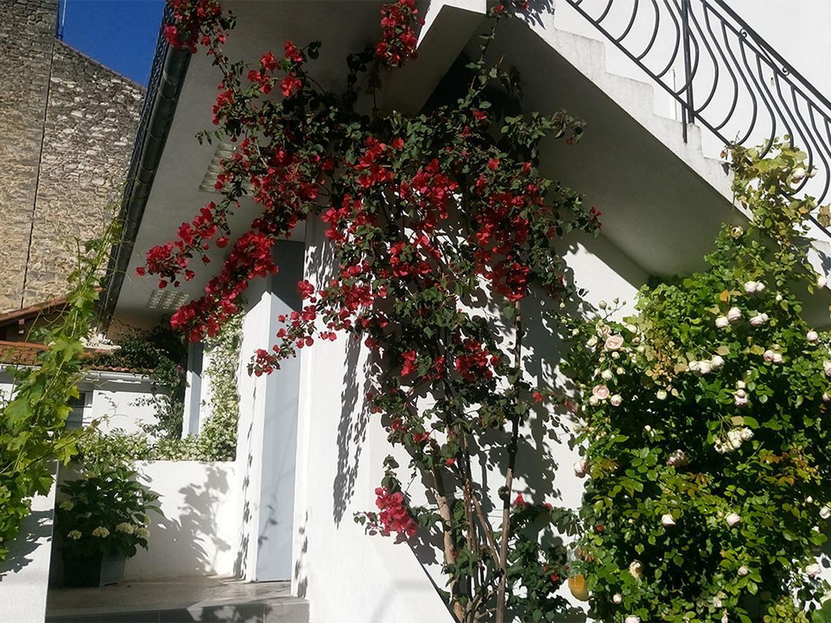 مونبيلييه Le Clos Chez Michel المظهر الخارجي الصورة
